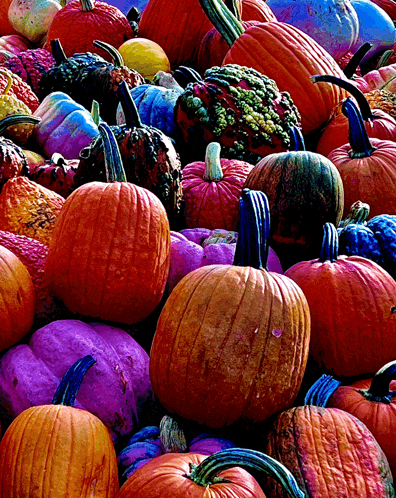 a bunch of pumpkins of different colors and sizes are sitting on top of each other