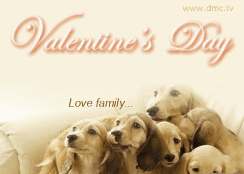 a valentine 's day card with a group of dogs