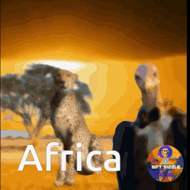 Africa Cheetah GIF - Africa Cheetah Vulture GIFs