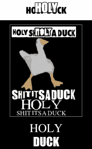 a poster that says holy shit holy duck on it