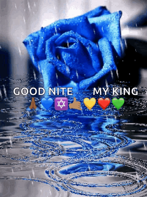 a picture of a blue rose with the words good nite my king