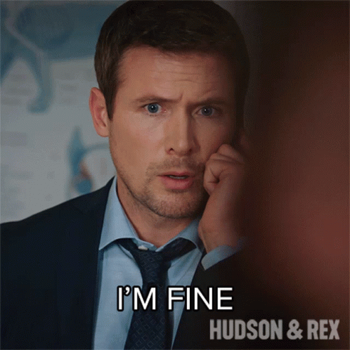 Im Fine Charlie Hudson GIF - Im Fine Charlie Hudson Hudson And Rex GIFs