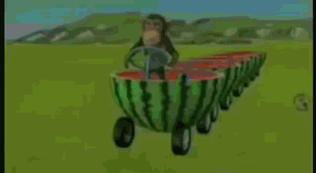 a monkey is driving a watermelon car in a field .