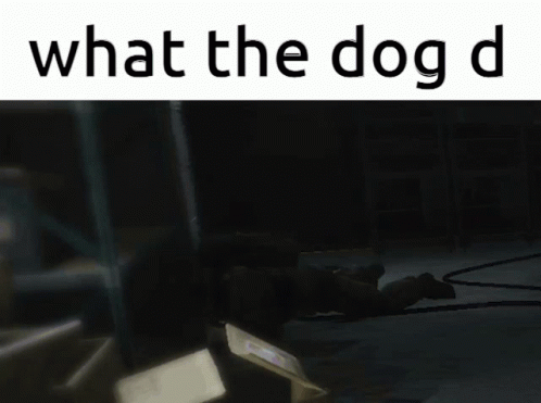 What The Dog Doin What The Dog Doin Meme GIF - What The Dog Doin What The Dog Doin Meme What The Dog Doing GIFs