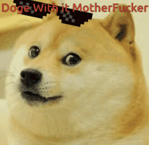 Deal With It Doge With It GIF - Deal With It Doge With It GIFs