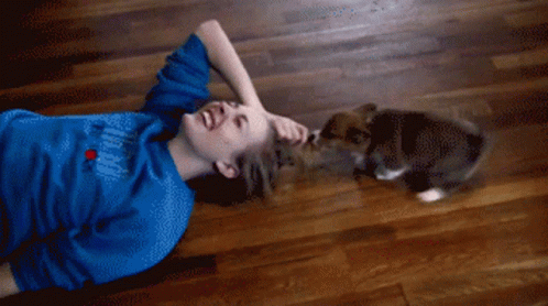 Pulling Hair Puppy GIF - Pulling Hair Puppy GIFs