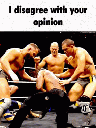 Opinion Disagree GIF - Opinion Disagree I Disagree With Your Opinion GIFs