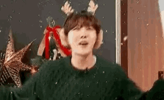 Bts Funny GIF