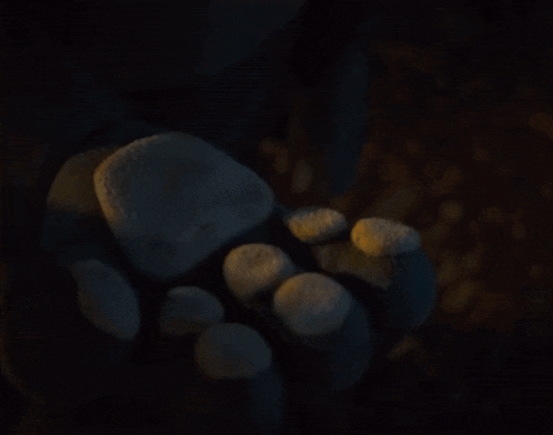 a close up of a person 's hand holding a white object