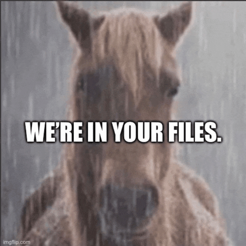 a horse in the rain with the words " we 're in your files "