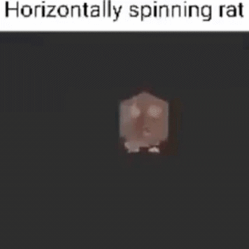 Horizontally Spinning Rat GIF - Horizontally Spinning Rat GIFs