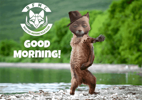 Good Morning Bad Fox Badfox Cardano Lfg Lets Go Community GIF - Good Morning Bad Fox Badfox Cardano Lfg Lets Go Community GIFs