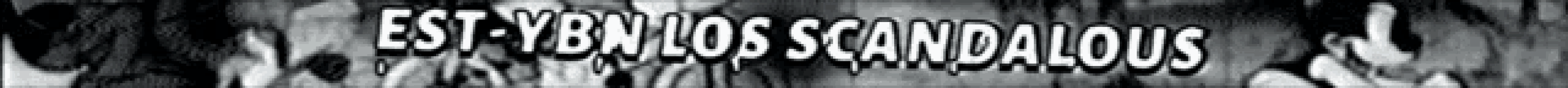 a black and white image with the words splendidoscandalous written in white