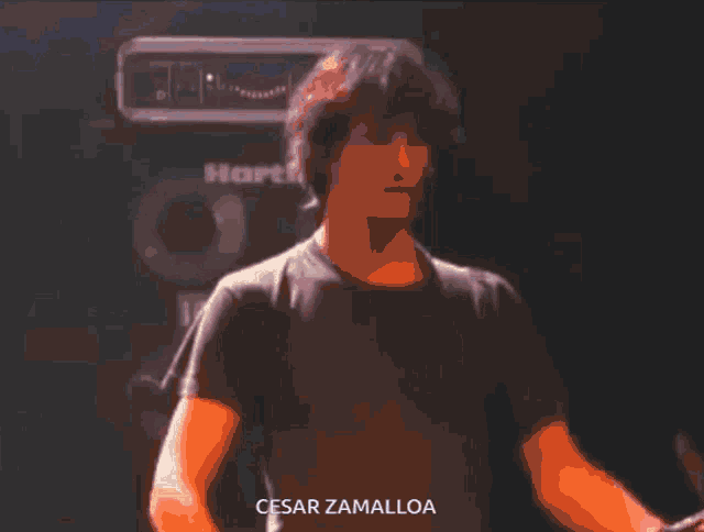 a man in a black shirt stands in front of a hartke amplifier