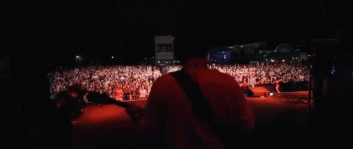 Concert Milky Chance GIF - Concert Milky Chance Stage GIFs