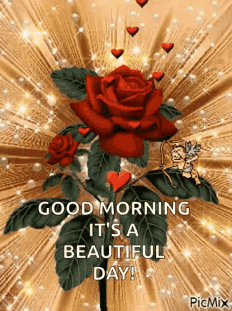 a red rose with the words good morning it 's a beautiful day written on it