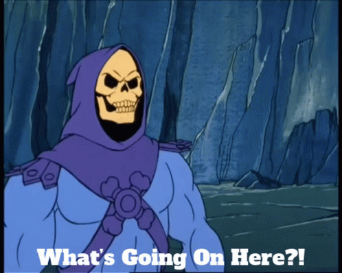 Skeletor Whats Going On Here GIF