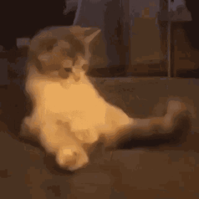 Cats Tail GIF - Cats Tail GIFs