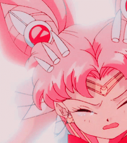 Sailor Moon Sailor Chibiusa GIF - Sailor Moon Sailor Chibiusa Anime GIFs