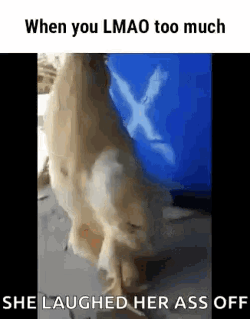 a dog is standing next to a blue container and laughing while eating .