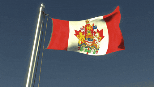 a canadian flag with a coat of arms on it is waving in the wind