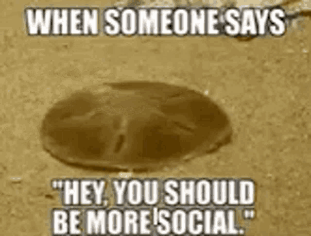 When Someone Says Be More Social GIF
