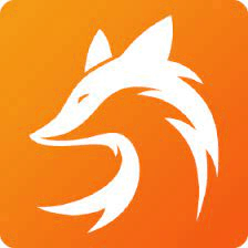 a white fox on an orange background .