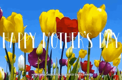 a field of colorful flowers with the words `` happy mother 's day '' written in the middle .