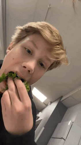 a young man is eating a sandwich with lettuce and tomatoes