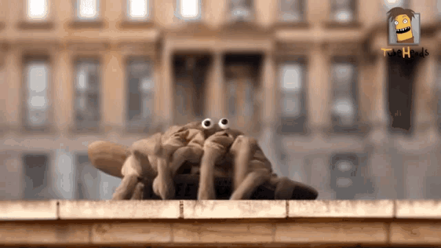 a cartoon spider with googly eyes is standing on a ledge