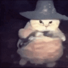 a cat wearing a witch hat and a dress is standing in a dark room .