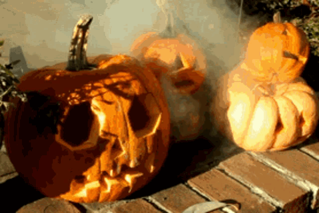 Pumpkins Halloween GIF