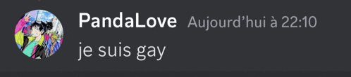 a screenshot of a message from pandalove says he is gay