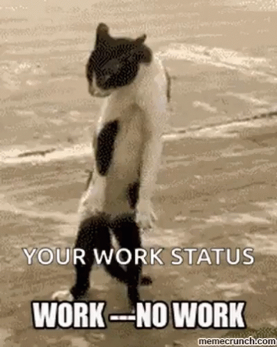 Work No Work GIF - Work No Work Cat GIFs