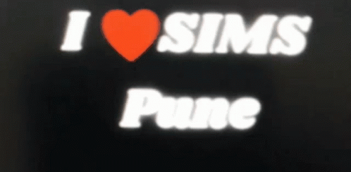 Sims Sims Pune GIF - Sims Sims Pune Pune GIFs