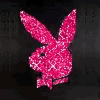 a pink playboy bunny with a bow tie on a black background .