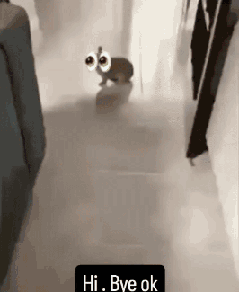 a rabbit with big eyes is walking down a hallway and saying `` hi . bye ok '' .