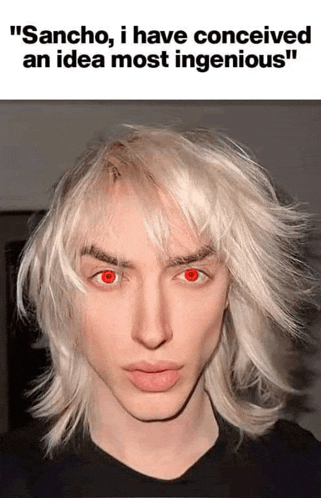a man with blonde hair and red eyes says " sancho i have conceived an idea most ingenious "