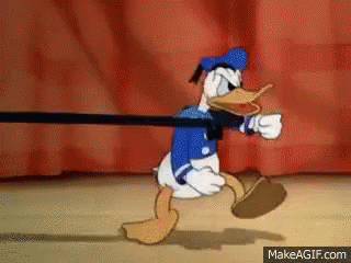 Duck Donald GIF - Duck Donald GIFs