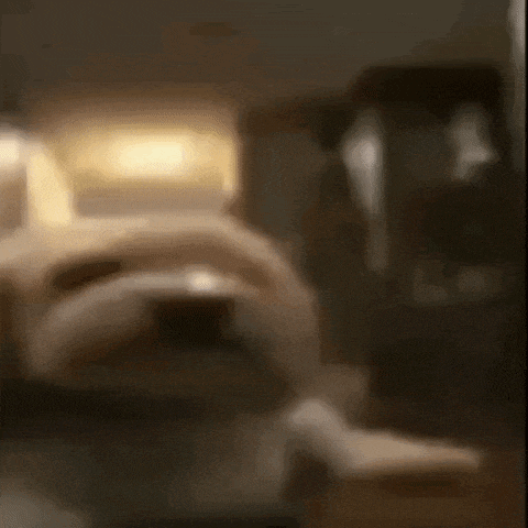 a blurry picture of a dog laying on a bed in a room .