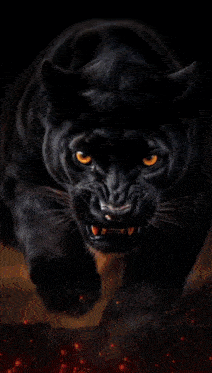 a close up of a black panther 's face with a broken glass background