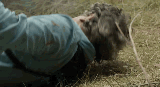 a man in a blue shirt is laying on the ground in the grass