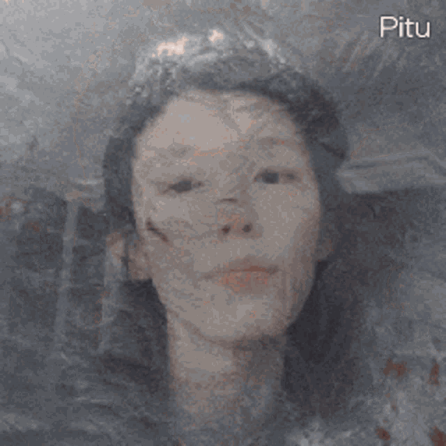 a close up of a woman 's face with the word pitu on the bottom right