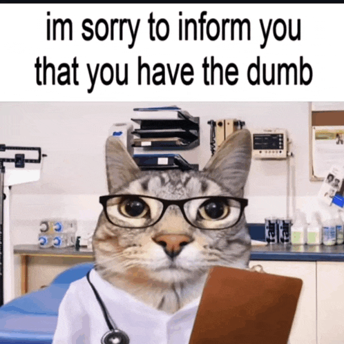 a cat with glasses and a stethoscope is wearing a doctor 's coat and holding a clipboard