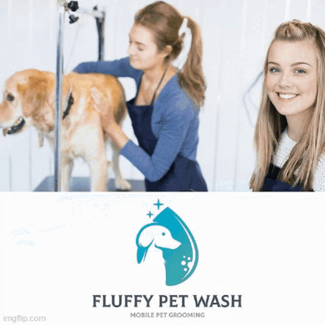 a logo for fluffy pet wash shows a dog being groomed