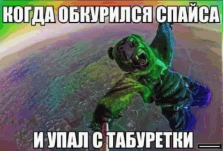 a picture of a bear flying through the air in a foreign language