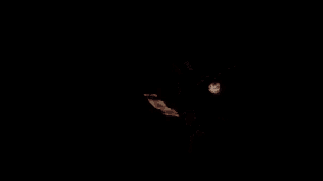 a black background with the words happy halloween written in red