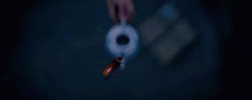 Fantastic Beasts Fantastic Beasts And Where To Find Them GIF - Fantastic Beasts Fantastic Beasts And Where To Find Them Cockroach GIFs