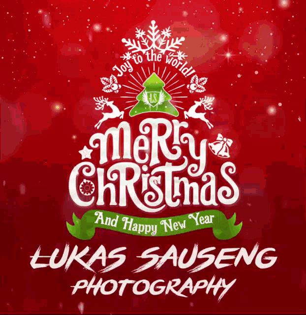a merry christmas and happy new year logo for lukas sauseng photography