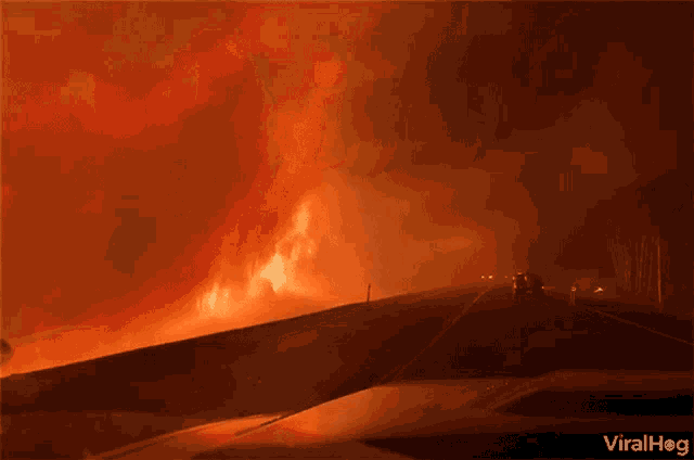 Forest Fire Burning GIF - Forest Fire Burning Driving GIFs
